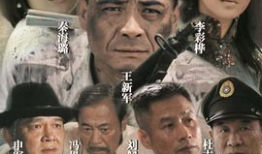 电视剧独立纵队,烽火岁月里的英雄传奇