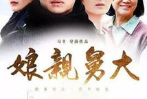 电视剧娘亲舅大,亲情纠葛与时代变迁的感人史诗
